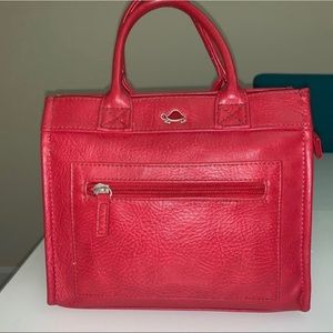 Carpisa purse